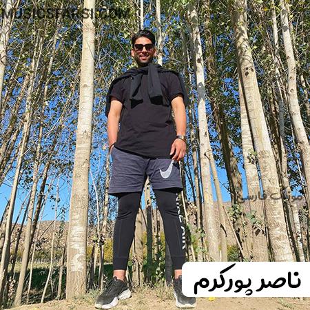 دانلود آهنگ ناصر پورکرم دل بهت بستم و وابستم
