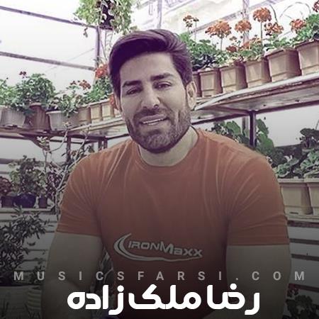 دانلود آهنگ رضا ملک زاده بی تو نگرانم حال من چون پروانه