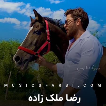 دانلود آهنگ رضا ملک زاده شاهکار دستان چه نقاشی