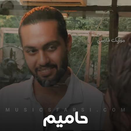 دانلود آهنگ حامیم خواستم فراموشت کنم