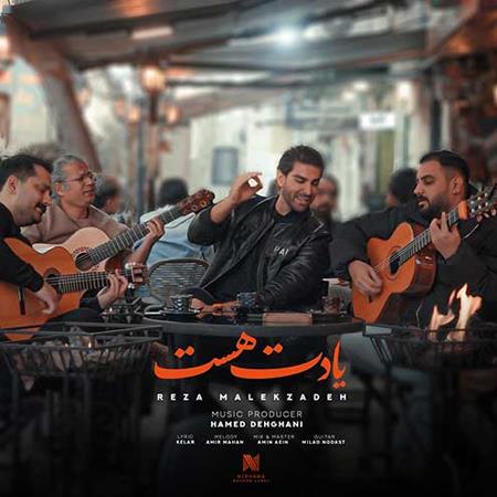 دانلود آهنگ رضا ملک زاده یادت هست